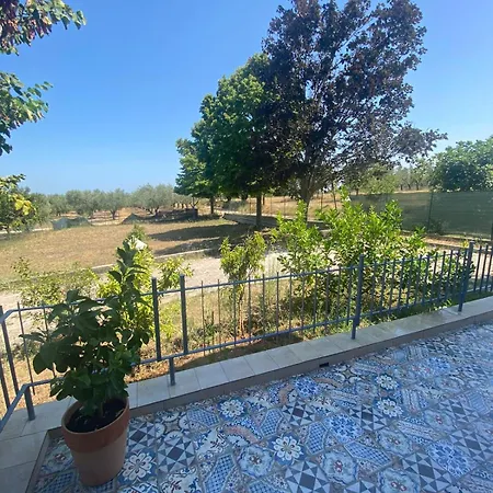 Lilium Maison * Canosa Sannita