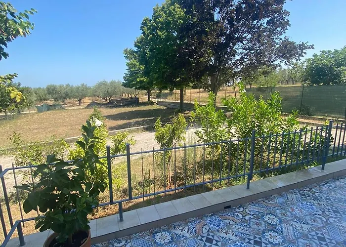 Lilium Maison * Canosa Sannita